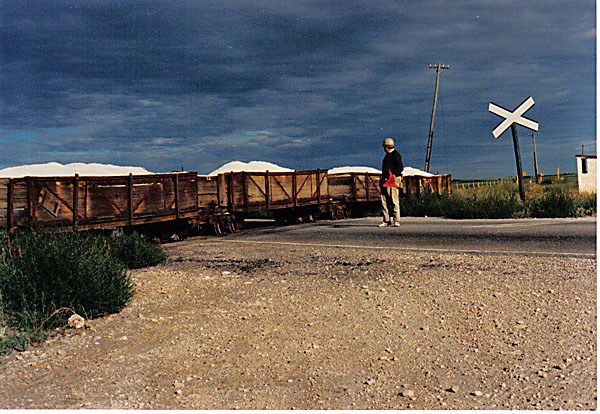 Levalledecauvilletrocha600mmcortandorura22feb1990