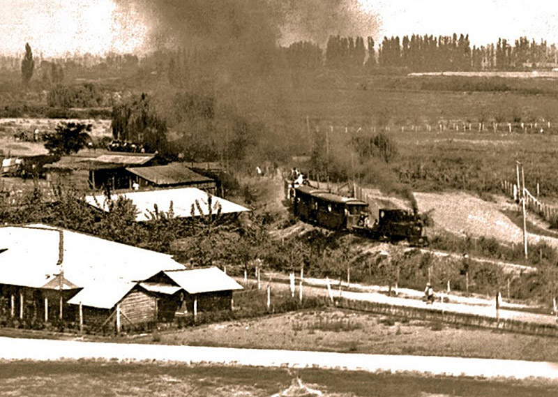 Panimavidalookingwest