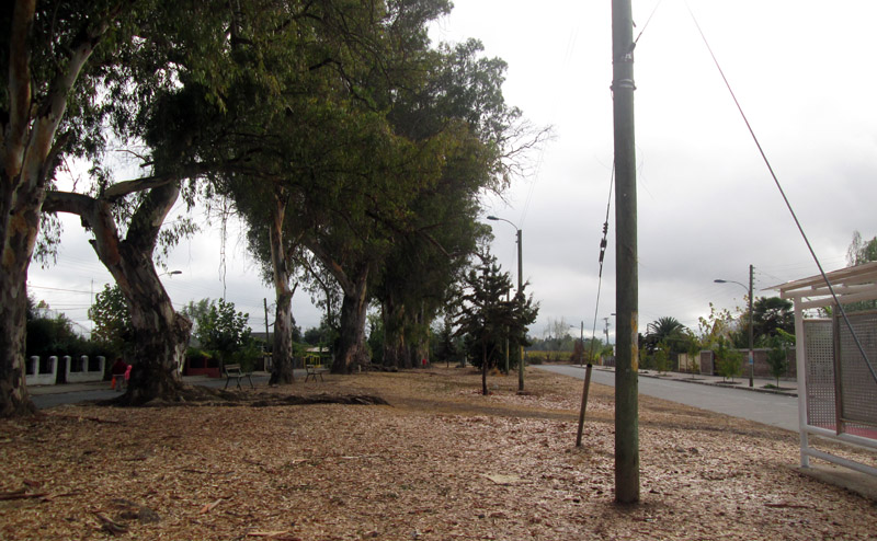 Panimavidanowlookingnorth